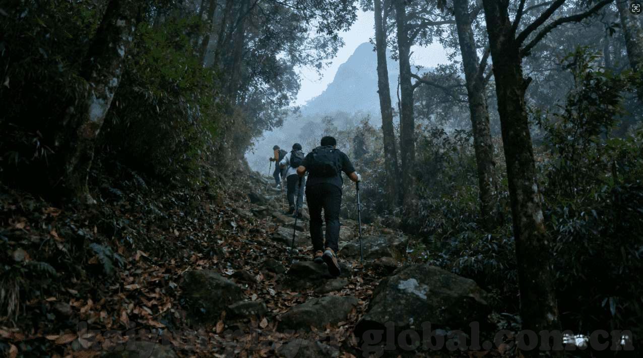 开云体育打不开-探索开云体育平台无法访问的潜在原因与解决方案